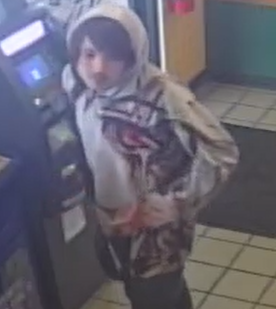 Primary photo of Suspect  Theft of Property - Please refer to the physical description